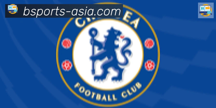 Bsports官网合作伙伴